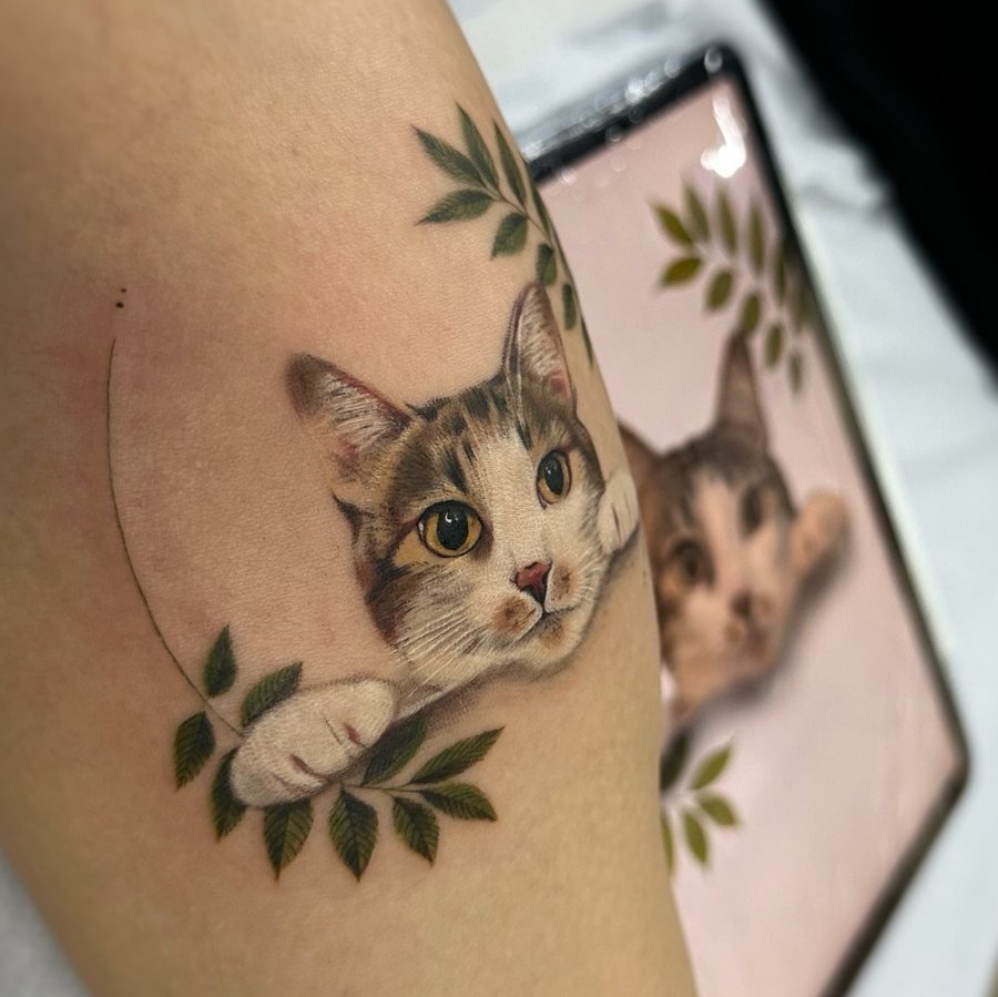 Tatuagem de gato